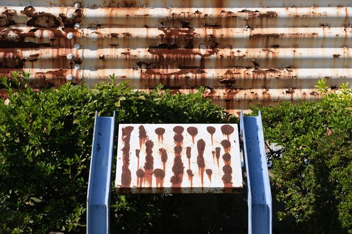 X-S10A18-300mm F/3.5-6.3 Di III-A VC VXDA56mmi35mmZ84mmjAISO160AF8A1/240bAzCgoXFI[gAtBV~[VFPROVIA/X^_[hA_Ci~bNWF100AJPEG<br>Beʐ^i6240×4160A15.2MBj