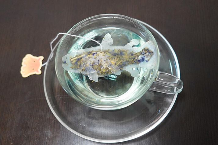 ṒuV[JXiOXE~geB[jv