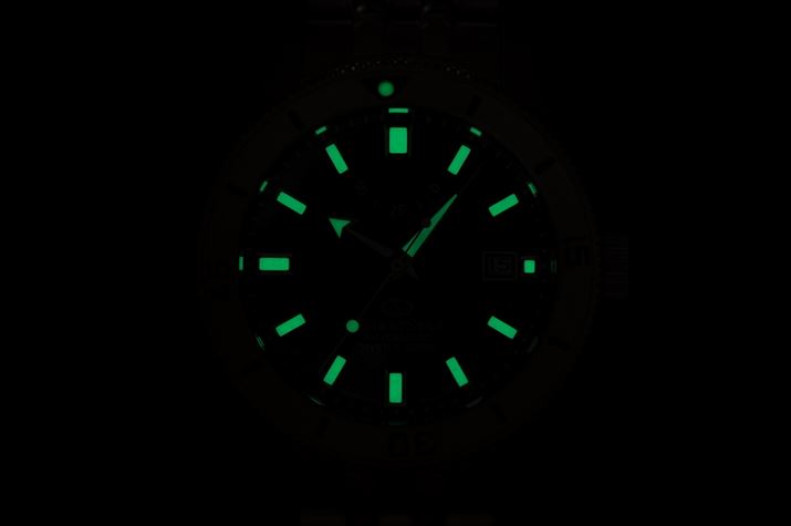 u~iXCgv̗̍pɂAÂCłF𔭊