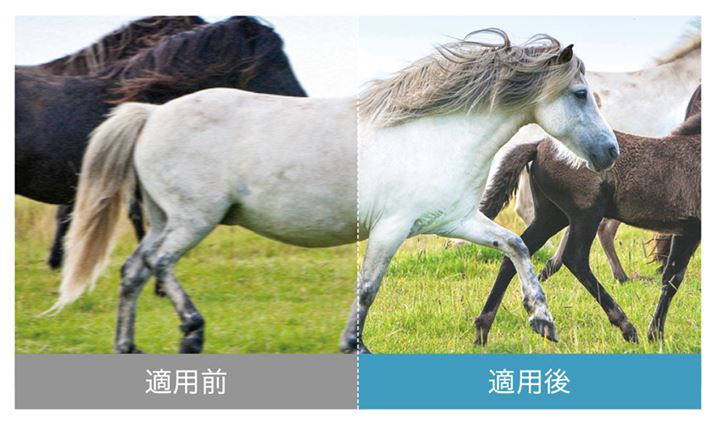 nfWŗpĂfuMPEG2vŔ₷ubNmCY⓮ڂ}AׂɃAbvRo[gĂunfWAIr[eBZRTvBNEhɕۑĂAWԑgƂ̉掿`[jOpf[^pč掿uNEhAI掿eNmW[vƂAgĂA2K𑜓x̒nfW4KlCeBu݂̍掿Ŋy߂