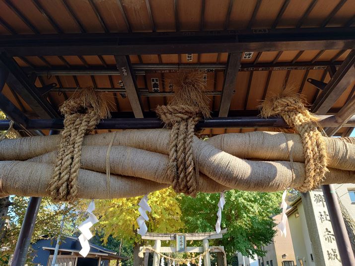 ȂߓBeB̈ۂێAÕƂȂ鉮܂ł͂ʂĂBfȂ̂́Aߓ̃fBe[͒Sӂ܂ŉ𑜊ۂĂ