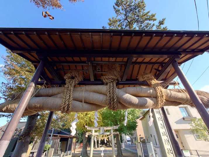 ʑ̂𒴍LpJŎBeBߓŜ\}Ɏ܂Bg[̕ω}A򉻂ڗ₷ӕLC