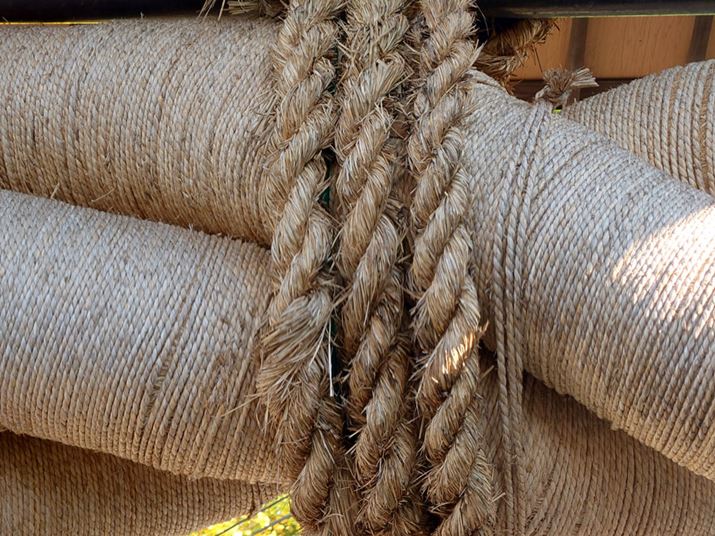 ]J̏œ_105mmɐ؂ւĎBeBʑ̂ł105mm̖]ł͍\}̈ۂ傫قȂAY[Be̊y킦