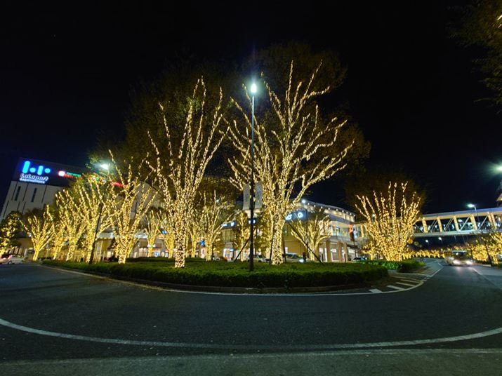 ƓiBeBu͌ȂBmCY̏Ȃ▾ÍȂǂ̕\LpJƂقƂǕςȂ