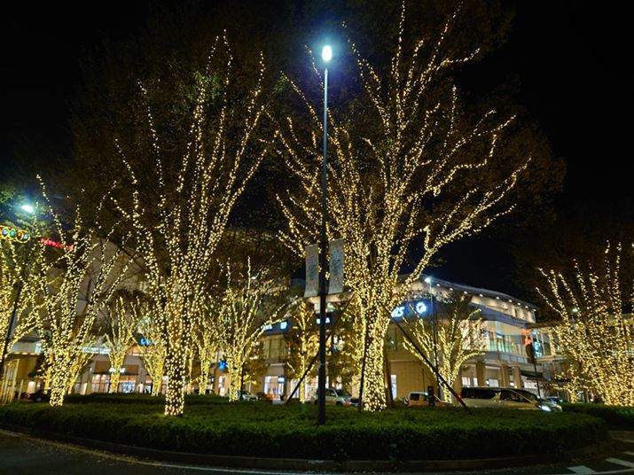 ĩC~l[VBeB莝Beu͂قƂǌꂸAmCYڗȂBił̈ۂ傫ςȂdオƂȂĂ