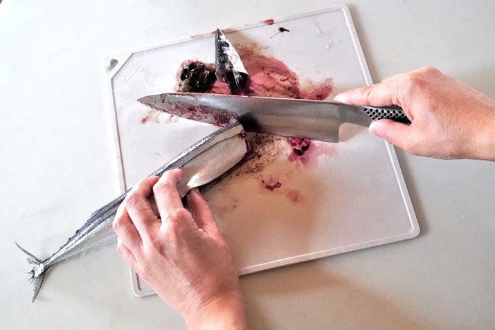 qʂŔY܂鐶̏SĂł܂