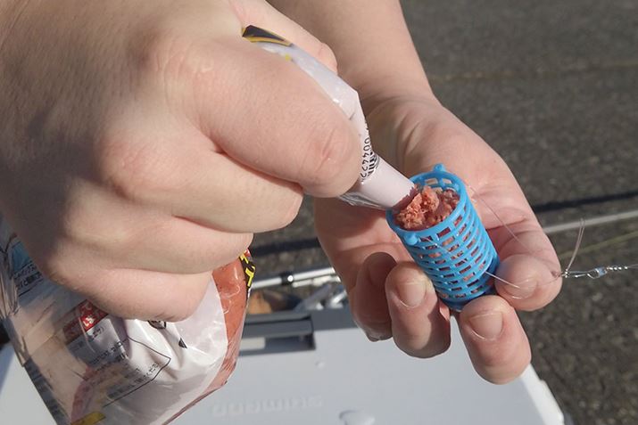 ̐ɕtJSɃGT܂Bł̂ł