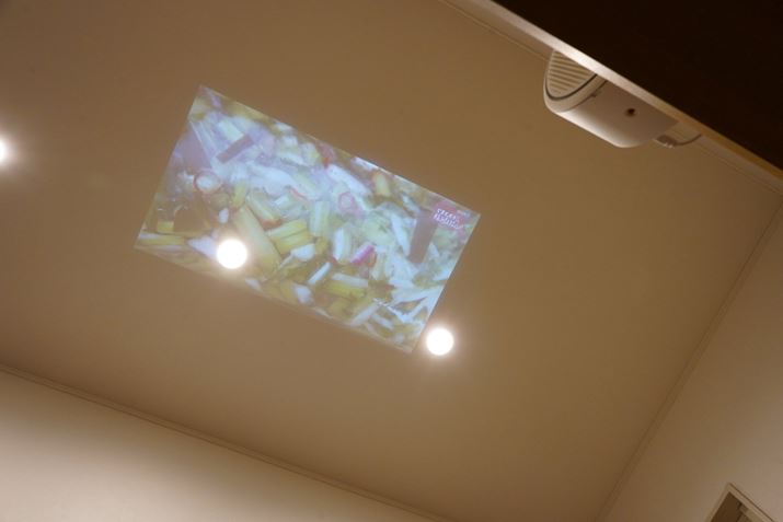 Q]ēVɉfnfWBȂƂsvcȊo