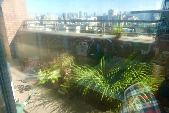 RłH Ƃ炢LCɂȂ܂I ʓIȐ܂Ő@ƔׂƁAKX̔ˋSRႢ܂