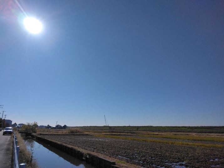 tŐBeAăJɕŜ\}ɂBtA͂قǖڗȂAn߂̋ɋUFĂ