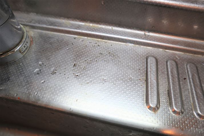 X|WuĂ̂̉ꂪ\тĂācc