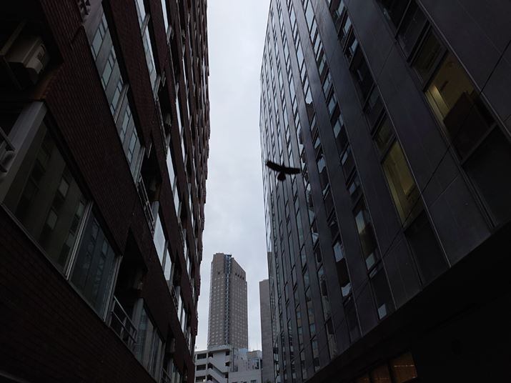 24mmYAxFISO100AVb^[Xs[hF1/100bAilFF4.0AzCgoXFzADWIveB}CU[FI[gBeʐ^i4032×3024j