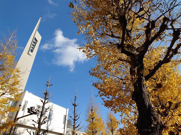 24mmYAxFISO100AVb^[Xs[hF1/800bAilFF4.0AzCgoXFI[gADWIveB}CU[FI[g<br>Beʐ^i4032×3024j