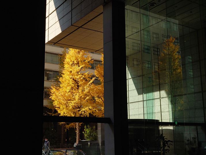 50mmYAxFISO64AVb^[Xs[hF1/1250bAilFF2.4AzCgoXFI[gADWIveB}CU[FI[g<br>Beʐ^i4032×3024j