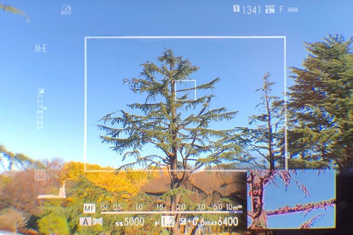 uNOKTON 35mm F1.2 X-mountv𑕒Ԃł́uX-Pro3vOVF̉ʁBʂɂ́ABe͈͂giuCgt[ĵقAeBe\łB܂AʉEɂ́Ag\{tH[JXs[LȌԂɂERF\Ă