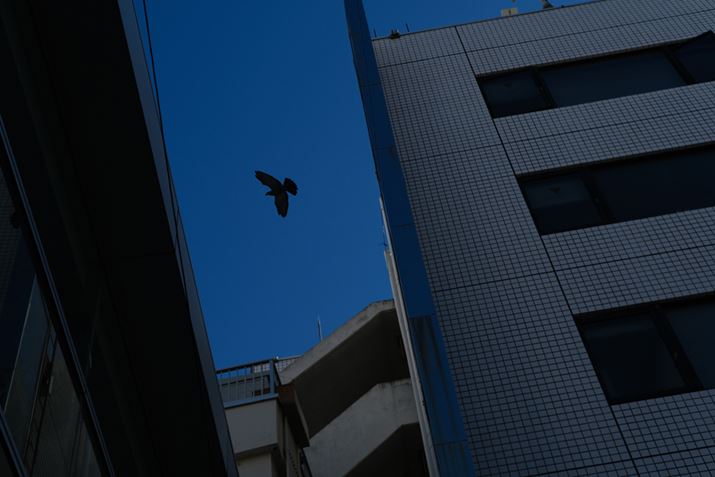 X-Pro3ANOKTON 35mm F1.2 X-mountA35mmi35mmZ53mmjAISO160AF4A1/1700bAzCgoXFI[gAtBV~[VFPROVIA/X^_[hA_Ci~bNWF100AJ[N[ u[FAJPEGBeʐ^i6240×4160A11.1MBj