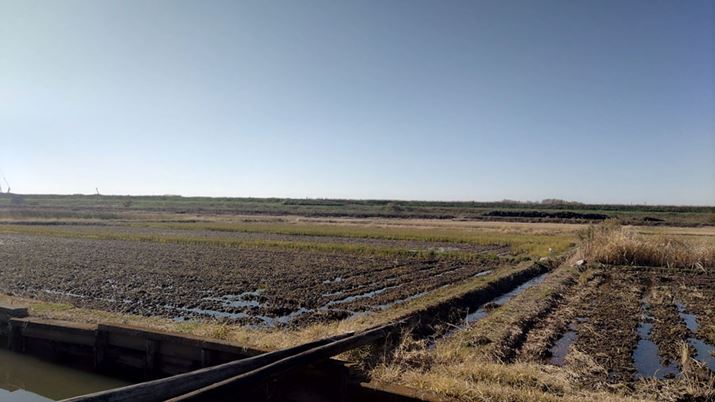 ~̕itCɎBeBŜƎRȎdオŁAtɂtA͗}Ă邪A{ŌꍇA̊KɂsRȕꂽ