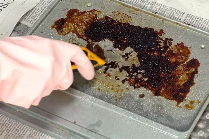 �󂯎M�̊�łȃR�Q���A���Ƃ͂���܂����I