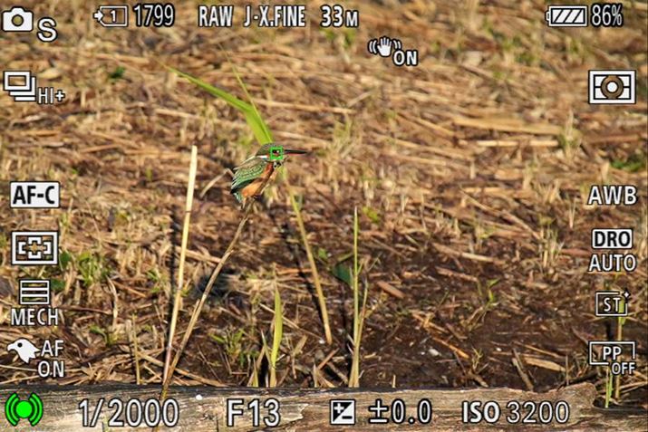 u7 IVv́uA^CAFv́uv̌oɑΉBBeɂpł