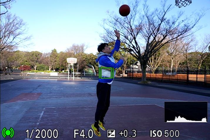 u7 IIIv[U[ɂƂđҖ]ƂȂuA^CgbLOv𓋍ځB̋@\g΁A_ʑ̂𐸓x悭ǔł