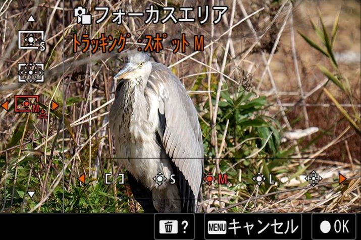 tH[JXGÁugbLOv́Aʑ̂̑傫⓮ɂ킹āuChvu][vuŒvuX|bgS/M/LvugX|bgvIłBȂAtH[JXGÁugbLOv𗘗pł̂AF-Ĉ݂Aʂ^b`Ēǔʑ̂Iu^b`gbLOv́AAF-A/AF-S/AF-C/DMF̂ǂAF[hłpł