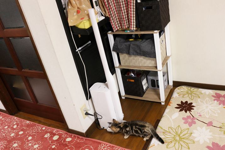 L⏬Ȏqǂ̂ŃrOɒuĂĂ܂A܂肪ȂlqBTbƎgprɃ}b`|@Ȃ̂ŁA悭߂ɐݒuĂق֗ł傤BN[hbÑTCY134ij×282isj×417ijmmƁArIXŒu₷ۂł