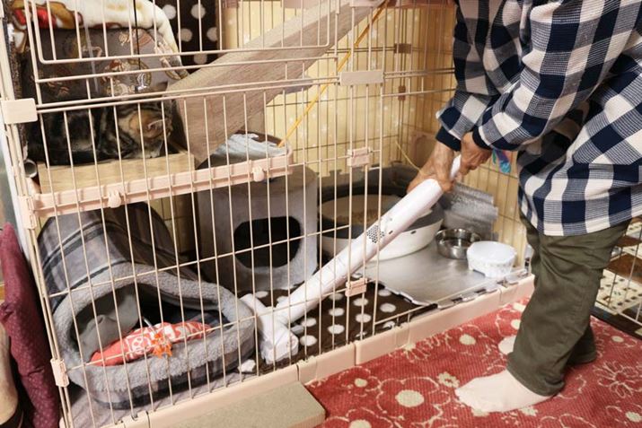 M҂ȂɂMC-NS10KgĂ炵A̍ہAL̃P[WnfB^Cvɂđ|@Ƃ̂ƁiČĂ炢܂jB|@̋z̉CL͑̂łA̔L͑SRCȗlq