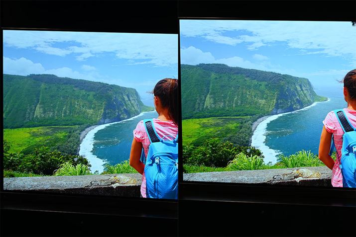 ů𑜋ZpvONAEOFF̏ԁBi̗΂̊┧ɑ΂Ă̒𑜏ς邱ƂŁA莩RȌɂȂĂ邱Ƃ킩