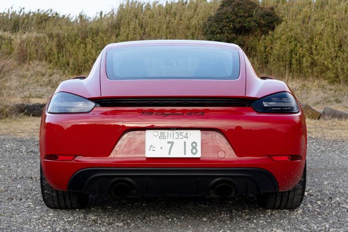 ̃e[v4LEDu[LCg͂ށAŐV|VF̓Iȃr[BrĆAʓIȍN[yƔׂƃAChO悩쐶Iȉł