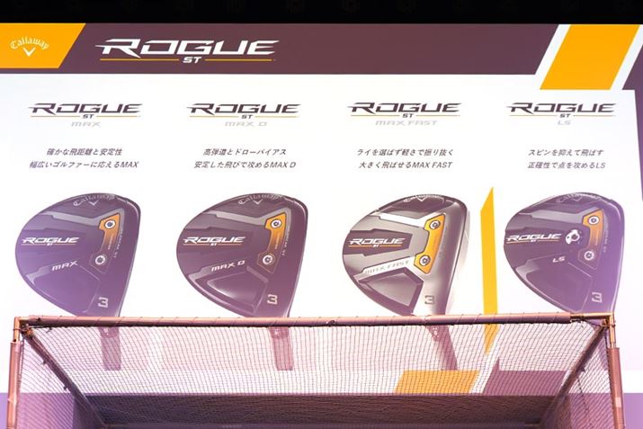 ROGUE STV[ÝAtFAEFCEbhhCo[lA4ނCAbv