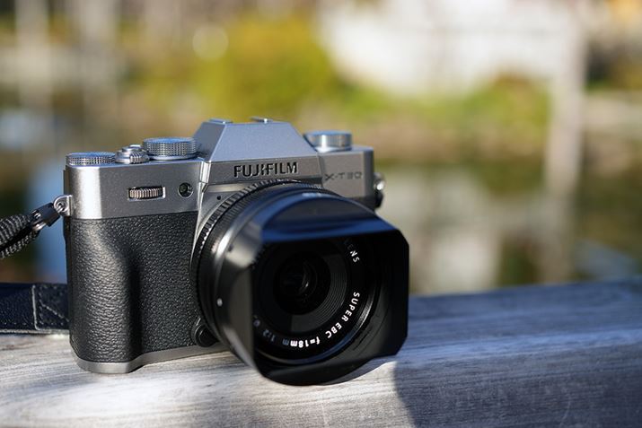 NVJȃ{fBɂ̓Y[YS̒ZPœ_Y