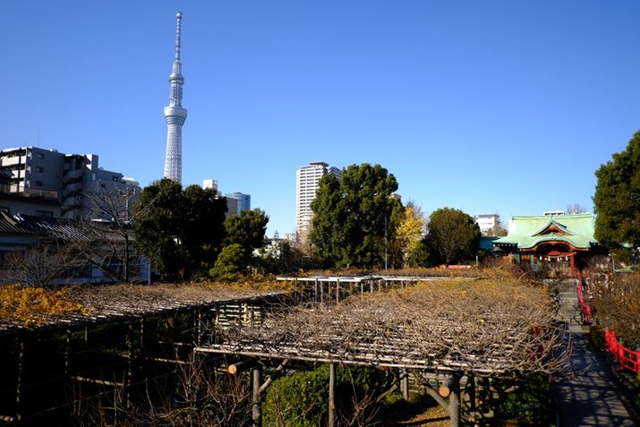 ɃXJCc[^[AEɋT˓V_ALp߂Ɏ܂̂\}ɂȂFUJIFILM X-T30 IIAXF18mmF2 RA18mmi35mmZ27mmjAISO100AF2.0A1/2200bAiDAEAAdobe Photoshop 22.5iMacintoshjBeʐ^i6240×4160A4.22MBj