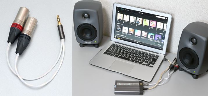 ϊP[upӂāuxDSD Gryphonv3.5mmVOGh4.4mmoX̃Co͂p΁AfXNgbvI[fBIIȎgłBȂ݂ɁA2022N531܂ŁAuxDSD Gryphonv̍w҂4.4mm - 4.4mmoXP[uA4.4mm - XLRoXP[ûꂩv[gLy[{Ă̂ŁAЊpƂ낾