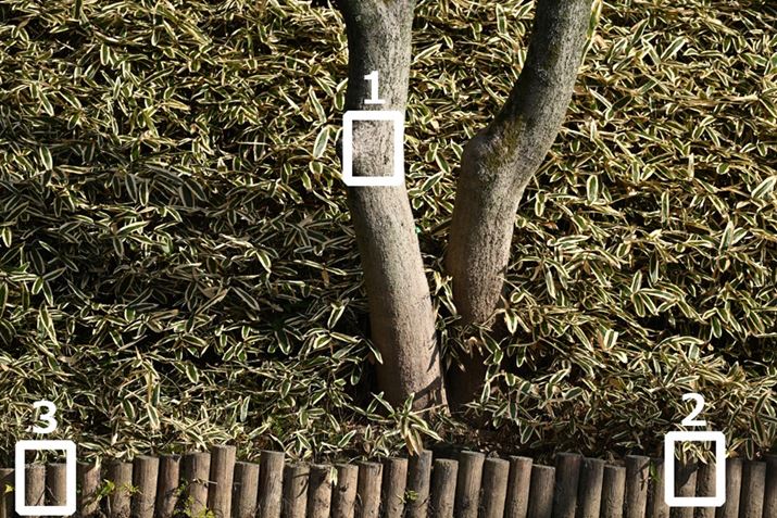 gi1`3jȉɌfڂ؂oBsg͐؂o1̕ɍ킹BBeݒ͏œ_400mmAF5.6AISO100A1/400bAWBFVAsN`[Rg[FX^_[hAANeBuD-CeBOFȂABlbgRg[FWA䂪ݕ␳FAܕ␳F