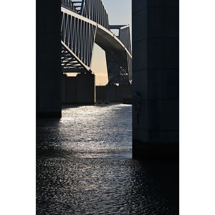 Z 7 IIANIKKOR Z 100-400mm f/4.5-5.6 VR SA145mmAF11A1/250bAISO64AWBFRI[gAsN`[Rg[FX^_[hAANeBuD-CeBOFȂAJPEGBeʐ^i5504×8256A23.3MBj