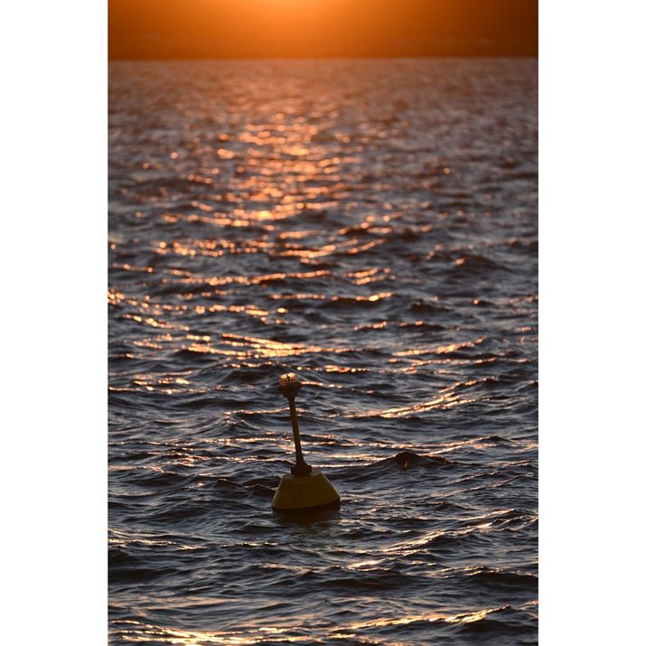 sample4iLvVjZ 7 IIANIKKOR Z 100-400mm f/4.5-5.6 VR SA400mmAF5.6A1/400bAISO160AWBFVAsN`[Rg[FX^_[hAANeBuD-CeBOFȂAJPEGBeʐ^i5504×8256A21.4MBj