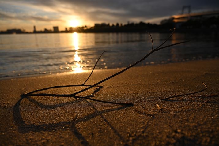 Z 7IIANIKKOR Z 24-120mm f/4 SA24mmAFSA1/1000bAISO64AWBFRI[gAsN`[Rg[FX^_[hAANeBuD-CeBOFWAJPEGBeʐ^i8256×5504A20.2MBj