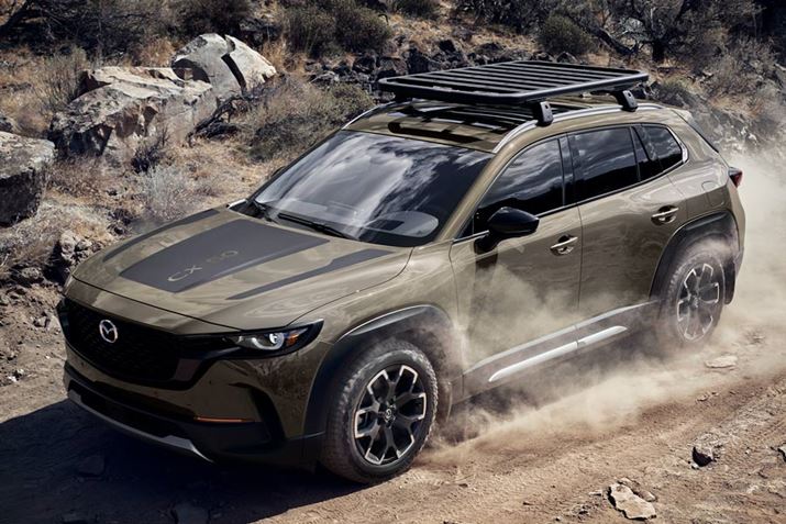 kĂ2022Nt̔Jn\̃}c_uCX-50v