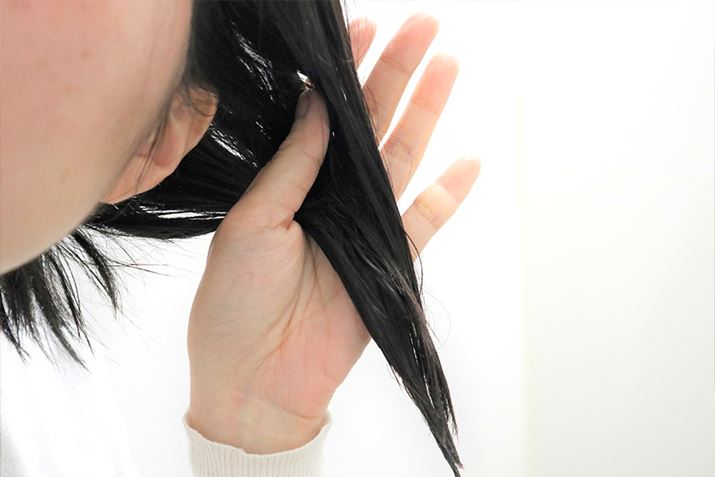 ʂVv[܂BVv[̎ނ͖ȂƂ̂ꂵI