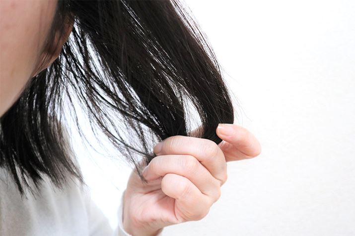 GƃSSEUÛłccĐGĂƃu`u`؂̂ł