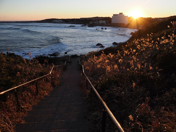 OM-1AM.ZUIKO DIGITAL ED 12-100mm F4.0 IS PROA12mmi35mmZ24mmjAF8A1/125bAISO200AzCgoXFI[gAsN`[[hFNaturalAVF[fBO␳FItAxmCYጸFWAJPEGBeʐ^i5184×3888A12.3MBj