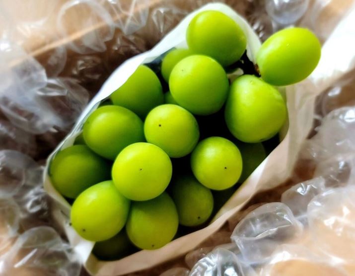 t[c[J^OMtg炦̗̂DҁBN̓VC}XJbgIт܂