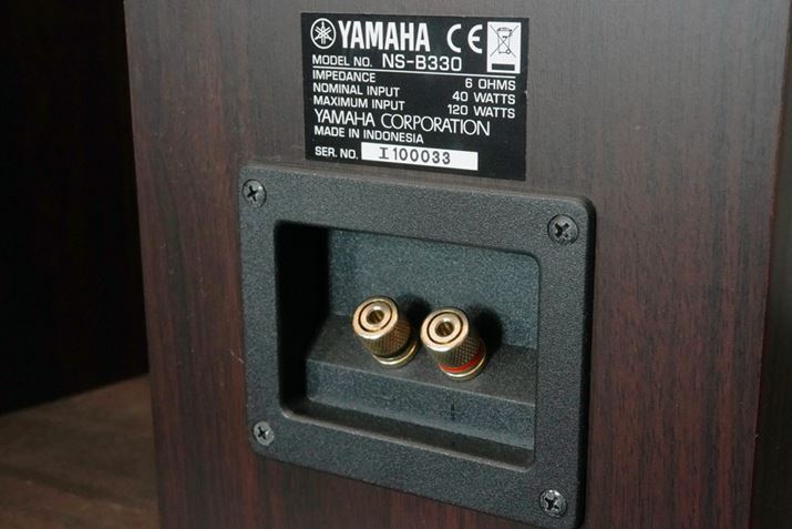 pbVuXs[J[Ƃ́AR|̕tXs[J[̂悤ȃ^CvBHi-FiXs[J[ł̓oiivOΉ̂̂