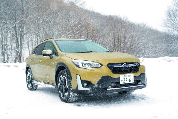 Ԃ̃{fBJ[͈ۓIȃvY}CG[p[ Bق12FLxɑIׂ܂