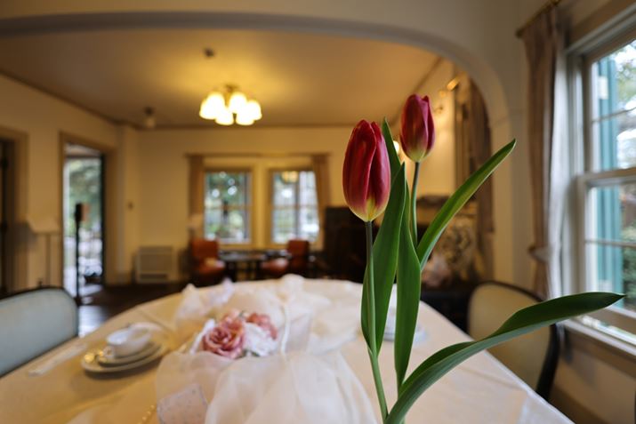 EOS R5ARF16mm F2.8 STMAF2.8A1/30bA ISO100AzCgoXFI[gi͋CDjAsN`[X^CFX^_[hAI[gCeBOIveB}CUFWAJPEG