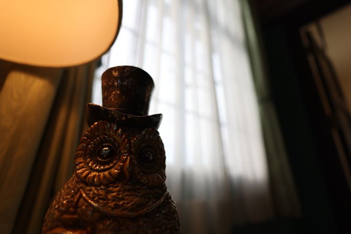 EOS R5ARF16mm F2.8 STMAF2.8A1/200bAISO100AzCgoXFI[gi͋CDjAsN`[X^CFX^_[hAI[gCeBOIveB}CUFWAJPEG