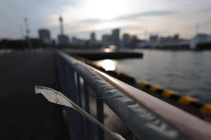 EOS R5ARF16mm F2.8 STMAF2.8A1/4000bAISO100AzCgoXFI[gi͋CDjAsN`[X^CFX^_[hAI[gCeBOIveB}CUFWAJPEG