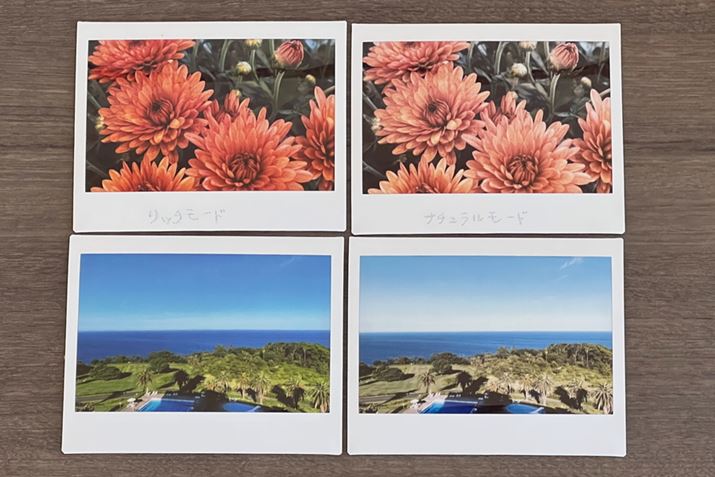 CAPTIONFb`[h()ƃi`[h(E)̔rBԌnEΌn̐F̏̓b`[ĥقނ뎩RȈۂ