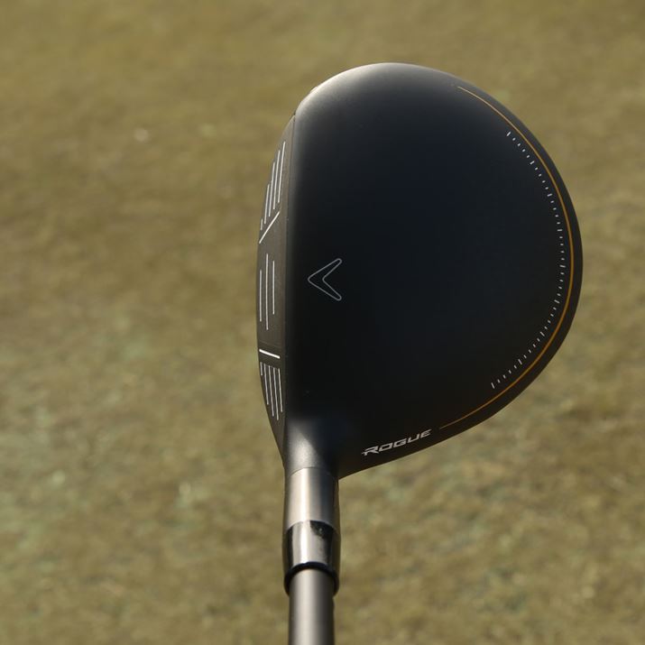 s߂ɂגwbhVFCv̗pBƂۂ݂̂tHŁALEFC炵dオł