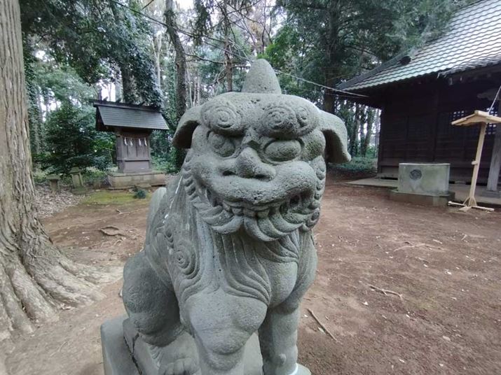 Ɠ\}ŒLpJɐ؂ւĎBeBSʂɃVACŃRgXgႢBJŉ掿̓ꊴ͖R